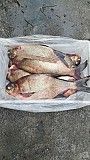 Продажа рыбы оптом Украина. Никополь