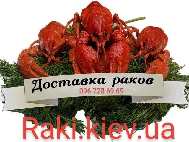 Закупаем Раки оптом Київ - изображение 1