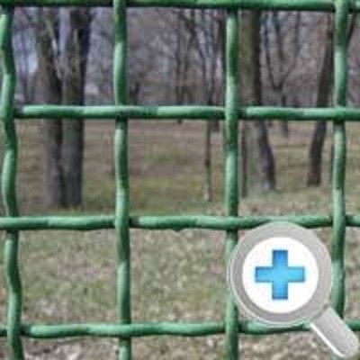 Сетка канилированная Коростень - изображение 1