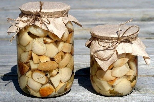 Продам Белый гриб маринованный Николаев - изображение 1