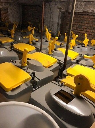 Б/в обладнання для свинокомплексів Кировоград - изображение 1