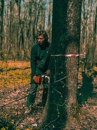 Профессиональная обрезка и спил деревьев Харьков - изображение 1