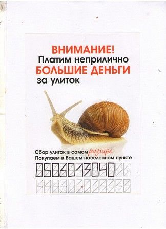 Куплю улитку Харьков - изображение 1