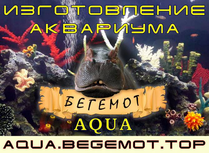 Бегемот-AQUA. Изготовление акавриумов в Харькове. Харьков - изображение 1