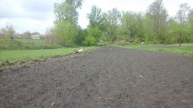 Продам дом в с.Бервица Бровары - изображение 1