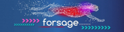 Удаленная работа, проект Forsage Киев