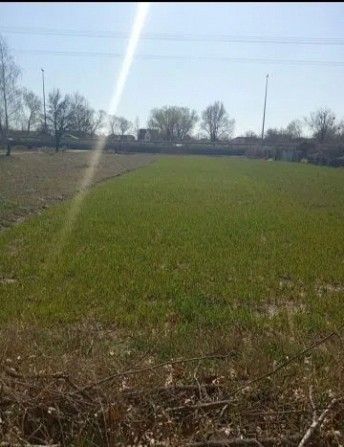 Продам земельный участок Березовка, Киевская область, Макаровский район Київ - изображение 1