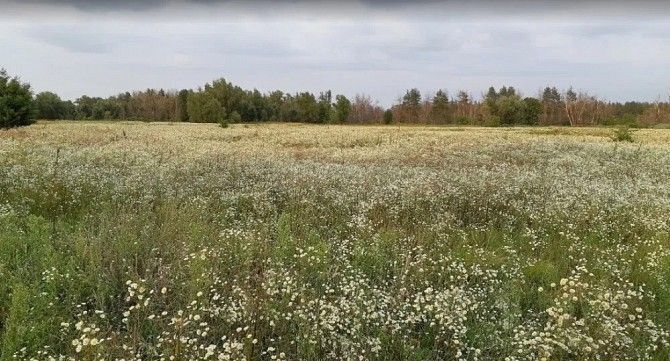 Нижняя Дубечня, Киевская область, Вышгородский район Киев - изображение 1