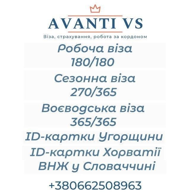 Віза 24 місяці, 270, 365 Стрый - изображение 1