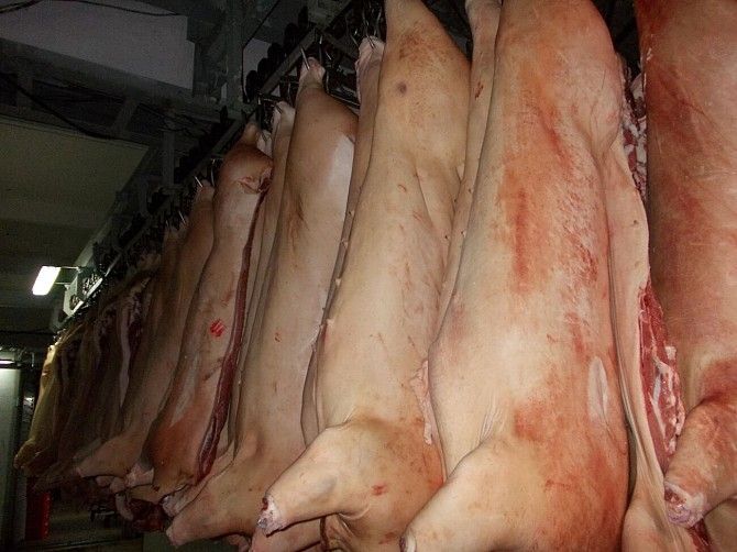 Продам свиные полутуши Дніпро - изображение 1