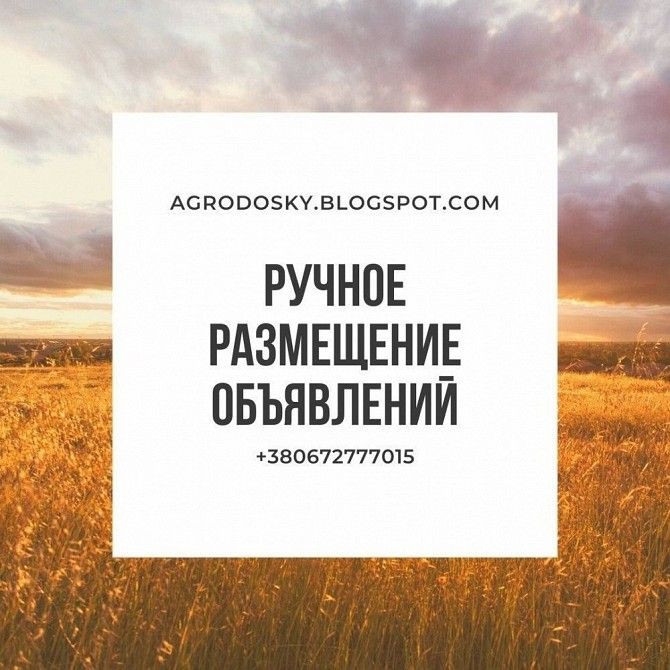 Ваше объявление на всех аграрных досках Украины! Одесса - изображение 1