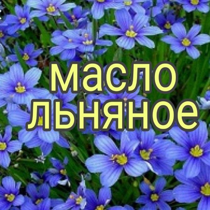 Продам льняное масло Харьков - изображение 1