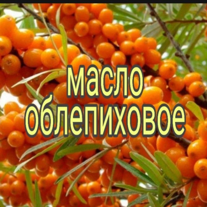Продам облепиховое масло Харьков - изображение 1
