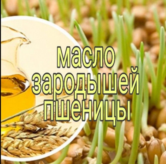 Масло зародышей пшеницы Харьков - изображение 1
