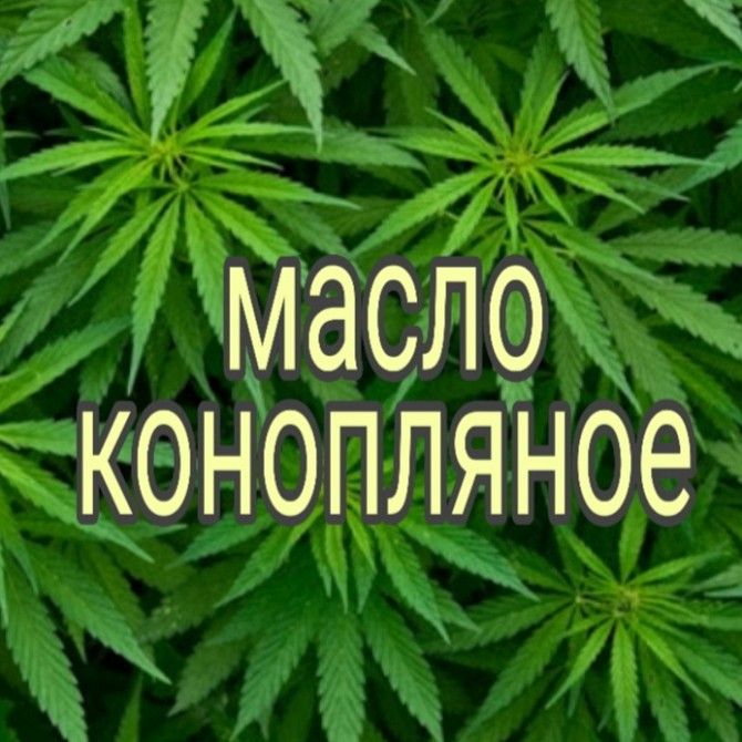 продам конопляное масло Харьков - изображение 1