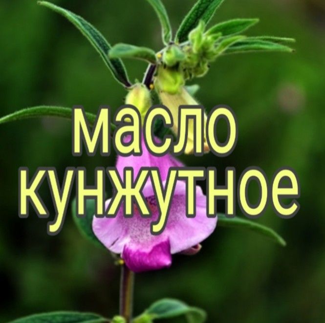 Продам кунжутное масло Харьков - изображение 1