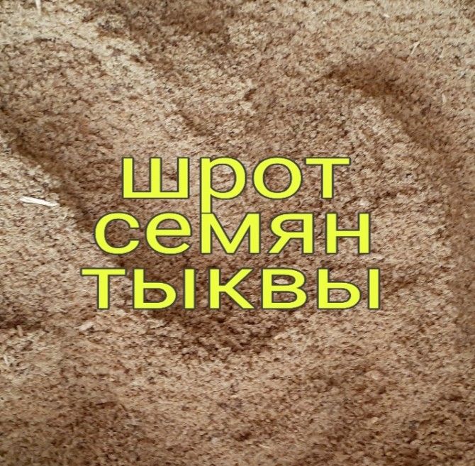 шрот семян тыквы Харьков - изображение 1