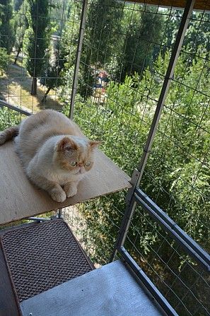 Прогулочный вольер для кошек на окно. "Броневик" Днепр. Дніпро - изображение 1