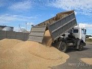 Зерновозы для перевозки зерна Украина Киев