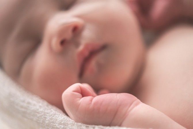 Программа донорства яйцеклеток, Ждановка Ждановка - изображение 1