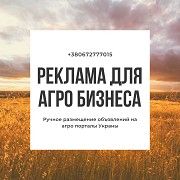 Услуга по размещению объявлений. Днепр