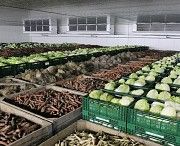 Холодильные камеры для хранения овощей Харьков