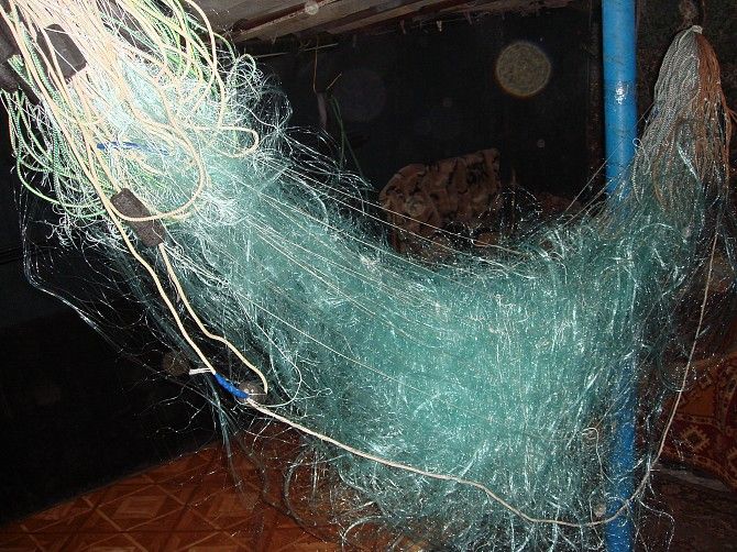 продам сети рыбаловные Купянск - изображение 1