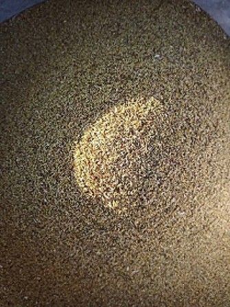 Семена Насіння ромашка аптечная Днепр - изображение 1