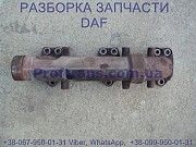 1667381 Выпускной коллектор 1 цилиндр Daf CF 85 1798725 Київ