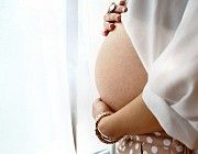 Программа суррогатного материнства, Середина-Буда Середина-Буда