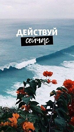 Заработок Администратором коммерческого профиля в Instagram. Киев - изображение 1