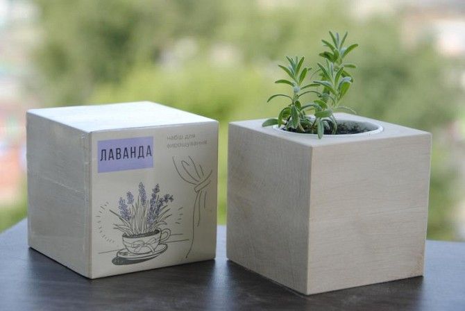 Купить экокуб, растущие карандаши, нанесение лого, опт Киев - изображение 1