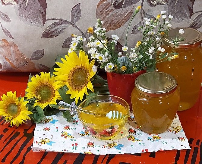Продам мед зі своєї пасіки. Соняшниковий Киев - изображение 1