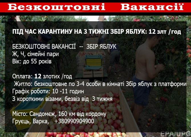ПІД ЧАС КАРАНТИНУ НА 3 ТИЖНІ  Львов - изображение 1