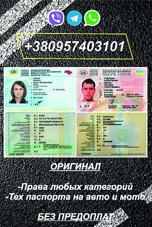 Техпаспорт и номера на нерастаможенный автомобиль или мотоцикл Николаев - изображение 1