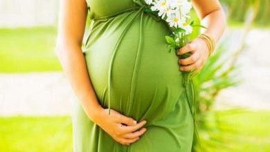 Программа донорства яйцеклеток, Бобринец Бобринец - изображение 1