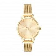 Жіночий годинник Anna Field AN651 Gold SKL35-238520 Киев