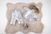 Детский зимний костюм с мехом серебро SKL11-260935 Киев