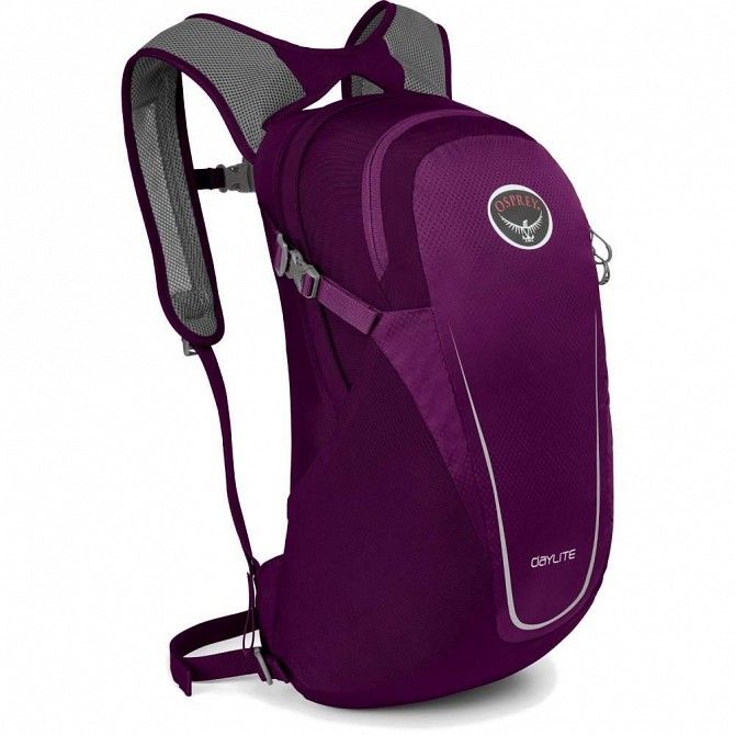 Рюкзак Osprey Daylite 13 Eggplant Purple SKL35-251091 Киев - изображение 1