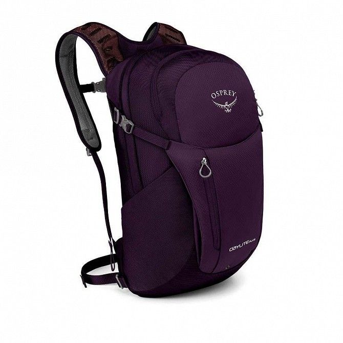 Рюкзак Osprey Daylite Plus 20 Amulet Purple SKL35-251097 Київ - изображение 1