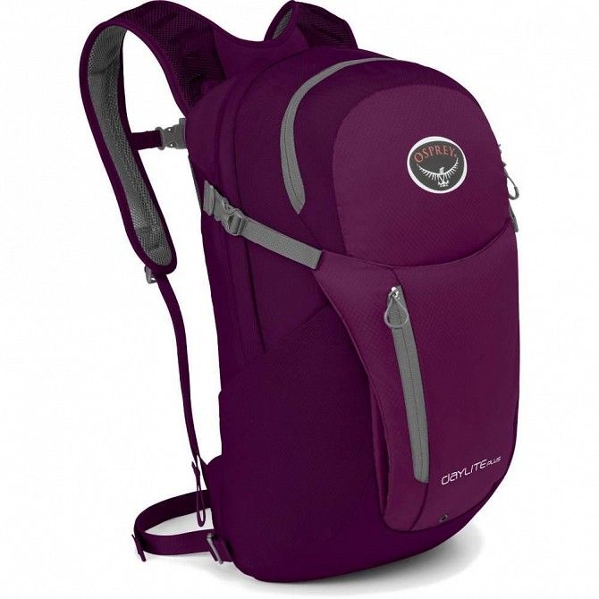 Рюкзак Osprey Daylite Plus 20 Eggplant Purple SKL35-251099 Киев - изображение 1