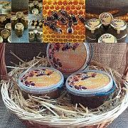 Апикомплекс № 1 Дніпро