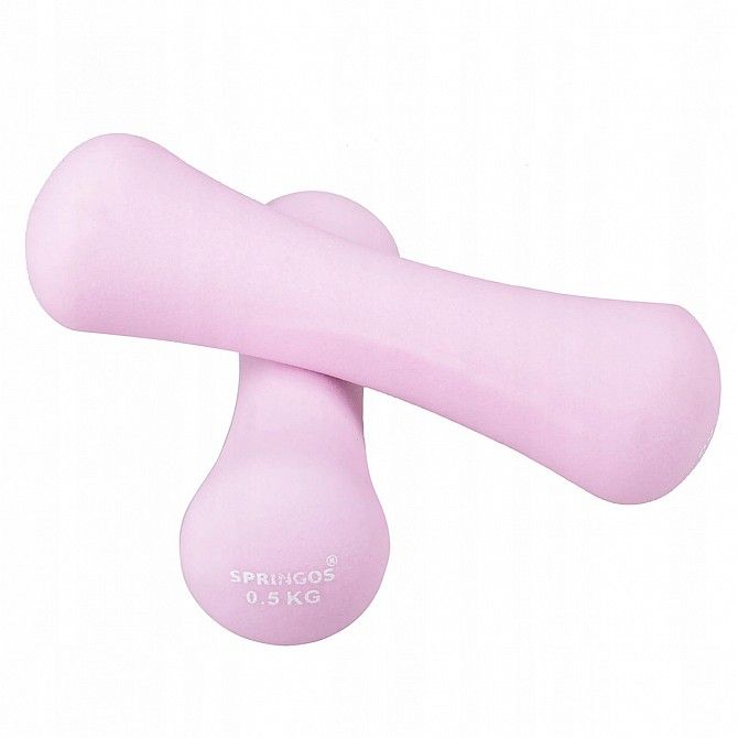 Гантели виниловые Springos 2 x 0.5 кг SKL41-238125 Киев - изображение 1
