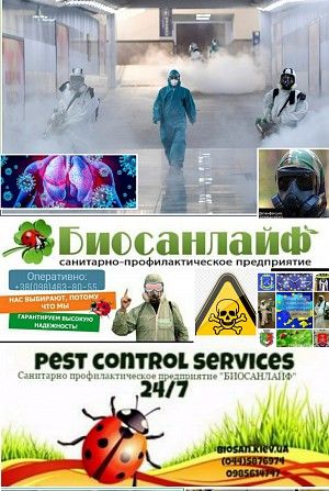 Дезинфекция. Киев - изображение 1