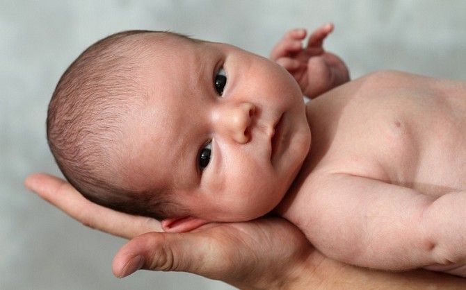 Программа суррогатного материнства, Мариуполь Мариуполь - изображение 1