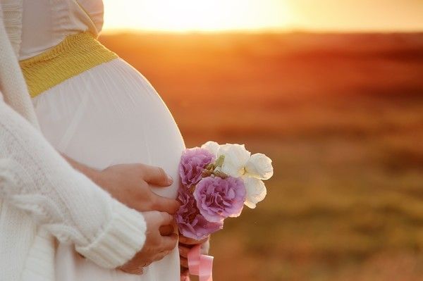 Программа суррогатного материнства, Вишневое Вишнёвое - изображение 1