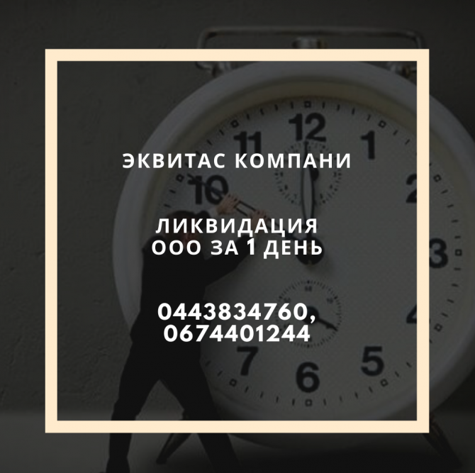Ліквідація ТОВ за 24 години Киев - изображение 1