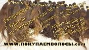 Покупаем волосы ежедневно в Одессе Одесса