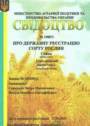 Посадимо сад волоського горіха Ровно - изображение 1