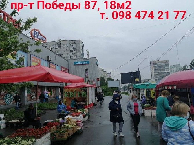 Сдам маф проспект победы 87 Київ - изображение 1